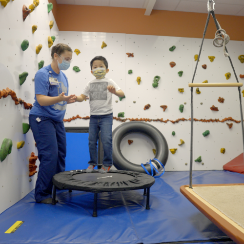Rehab Service
